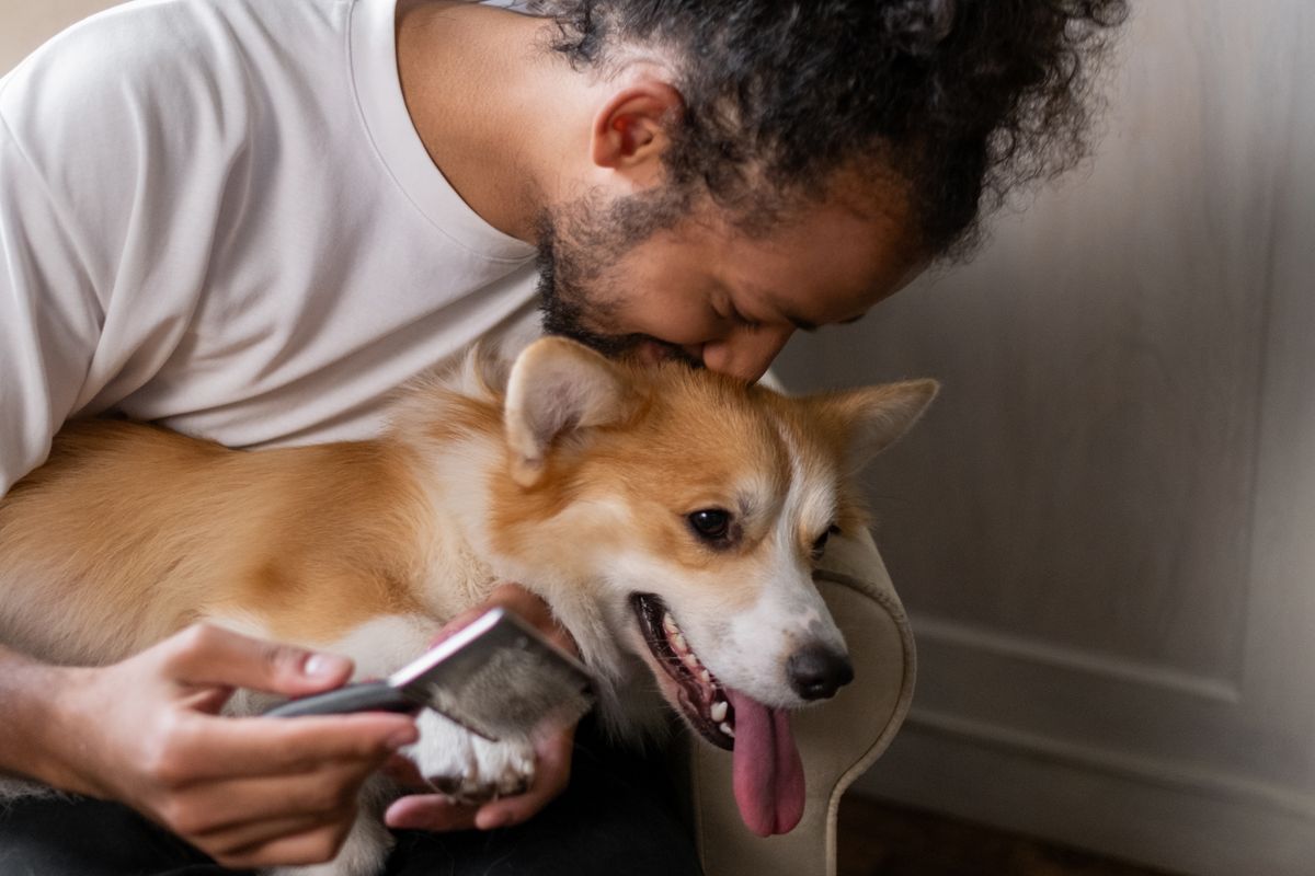 Pet sitting in vacanza: cane e gatto in casa